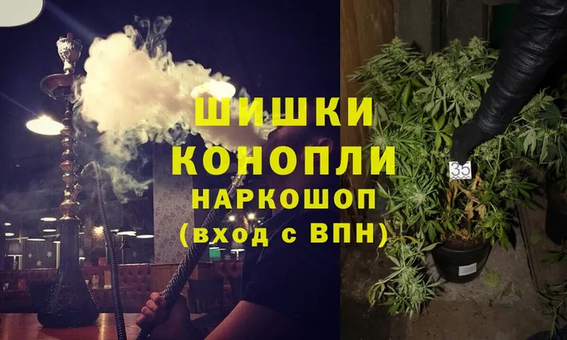 купить наркотик  Богородск  kraken маркетплейс  Бошки Шишки THC 21% 